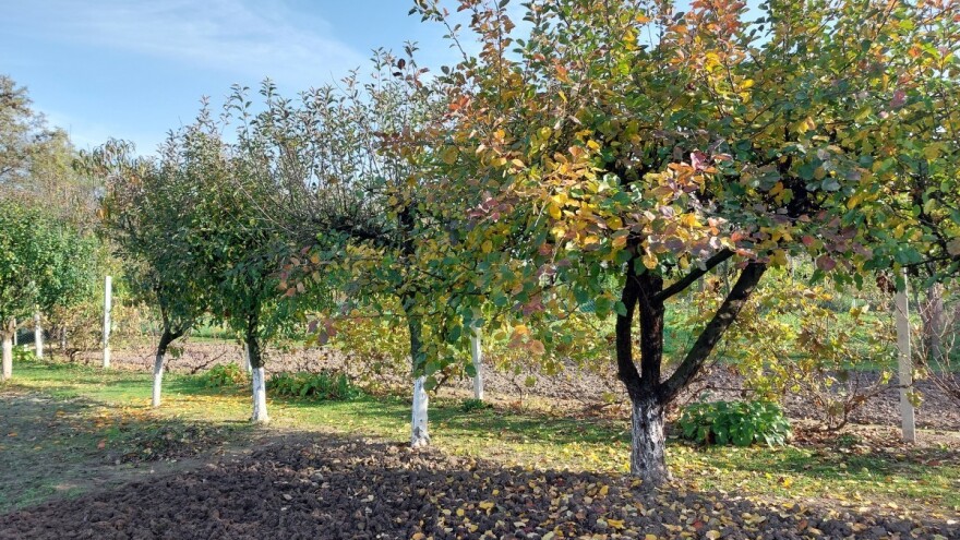 Dostupan Nacrt Nacionalnog programa ruralnog razvoja