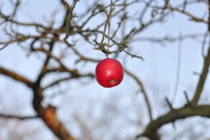 Hladno i oblačno