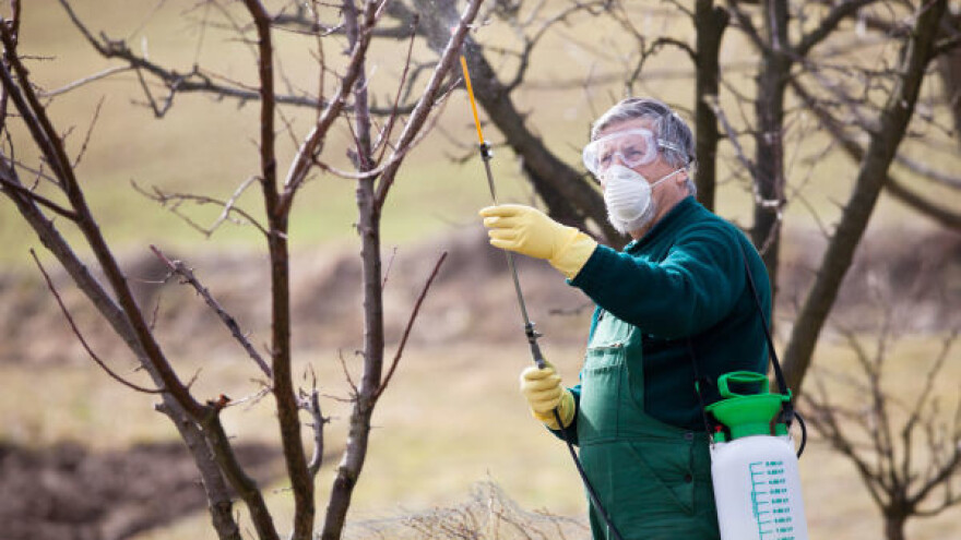 Jesenje prskanje - obavezna zaštita voćnjaka