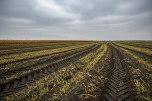 Jesenji bilans na srednjobanatskim njivama