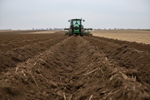 Jesenjska sadnja voćaka