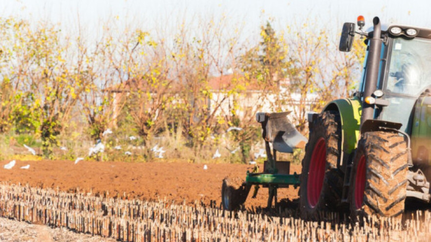 Saveti za kvalitetnu osnovnu prihranu okopavina