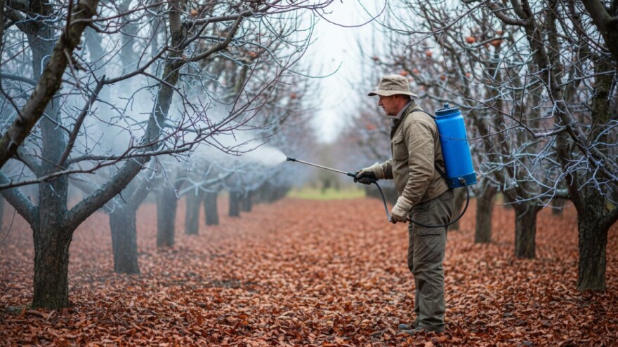 Jesenska zaštita breskve, lijeske i oraha