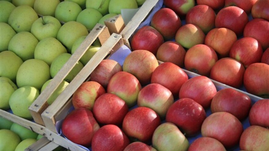 Voćarstvo ima potencijal za 50.000 novih radnih mjesta