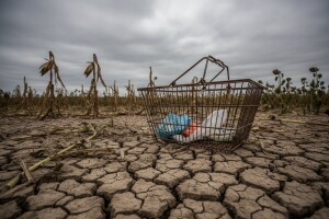 Jesenski udar cijenama