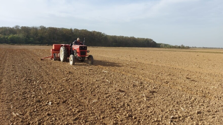 Tamo gdje je sjetva strnih žita završena, pratite stanje