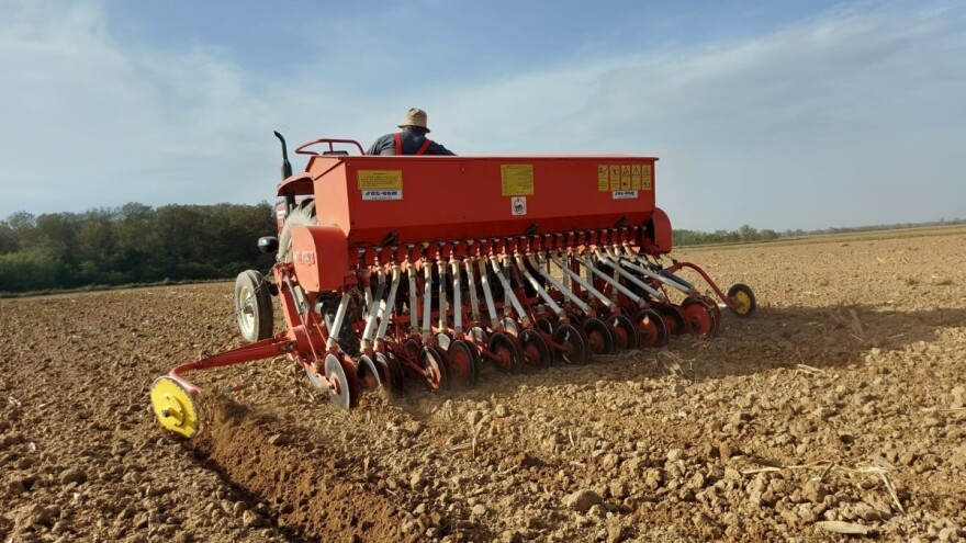 U sjetvu na dva stupnja višoj temperaturi od prosjeka i - minusima na računima