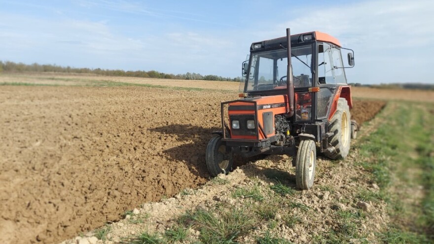Sedmica počinje s mrazom, ali donosi nam i više sunca