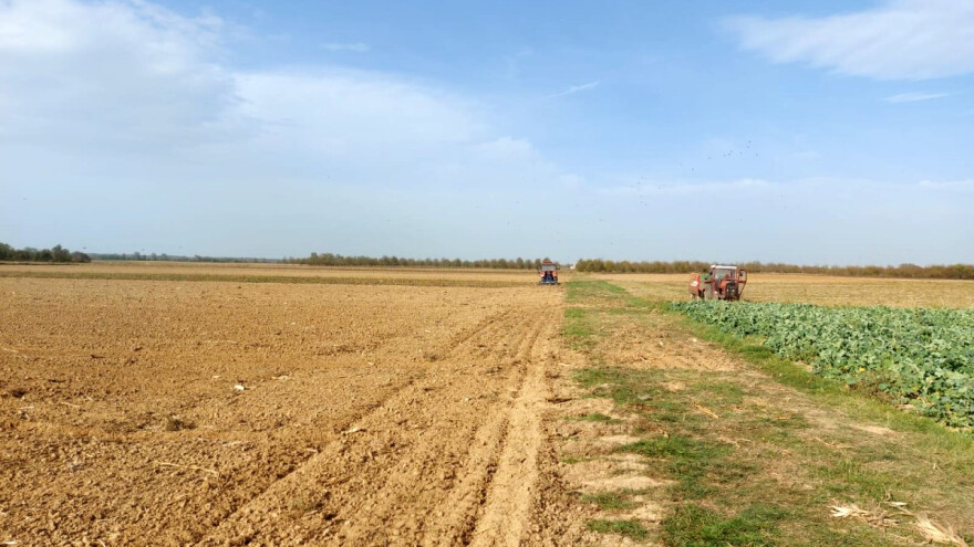 Kako stojimo s objavom natječaja za zakup poljoprivrednog zemljišta?