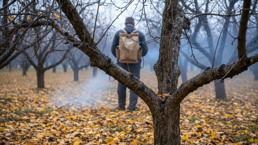 Jesensko prskanje voćaka