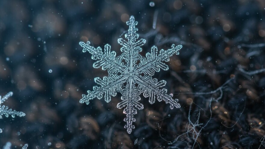 Jeste li ikada izbliza videli pahulje snega?