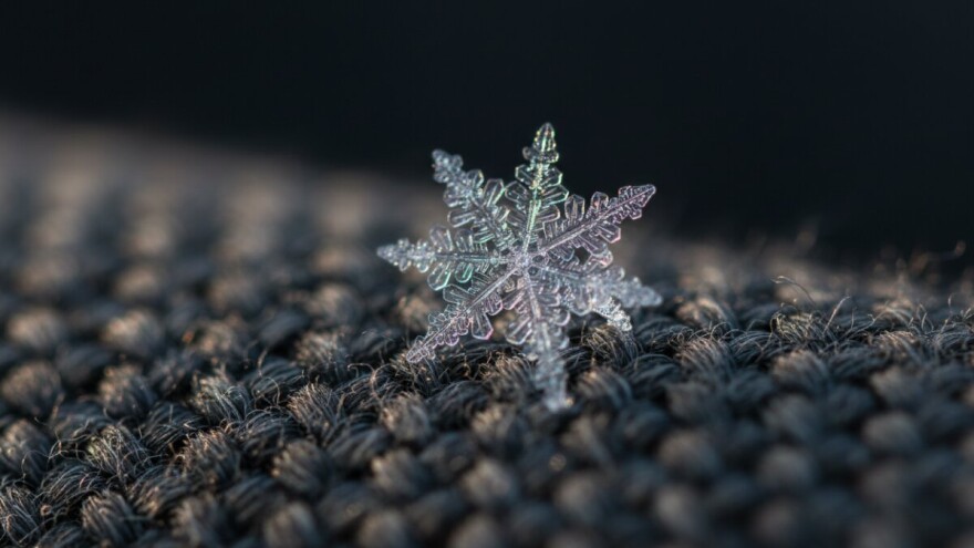 Jeste li ikada izbliza vidjeli pahulje?