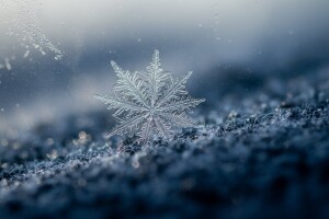 Jeste li ikada izbliza vidjeli pahulje snijega?