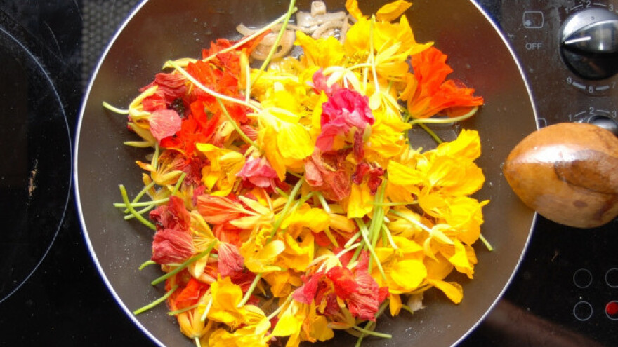 Jestivo cveće za šarenilo na tanjiru