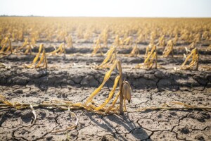 Jesu li štete doista velike ili samo napuhane?