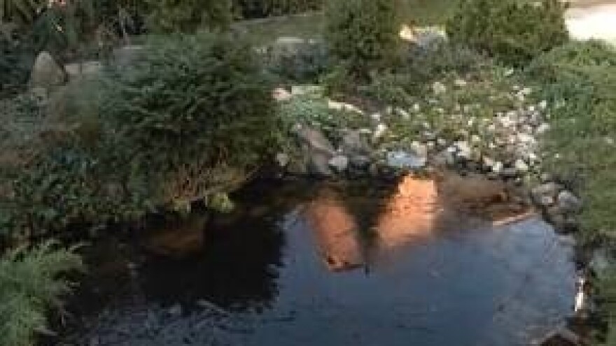 Prezimljavanje vrtnih jezeraca