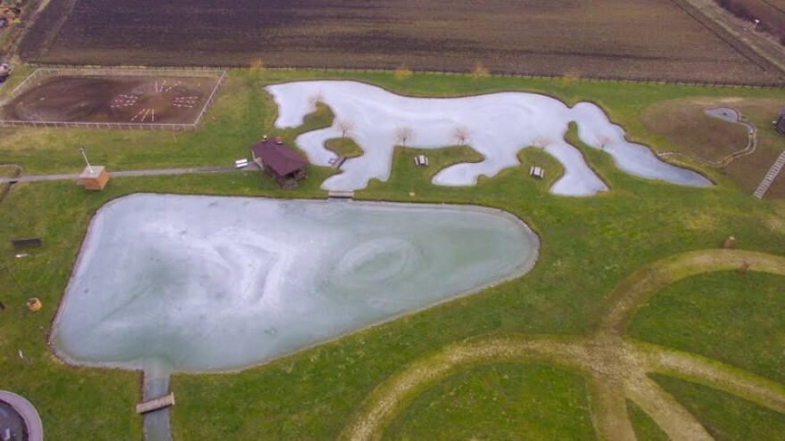 Zaleđeni vodeni konj na ranču u Garčinu!