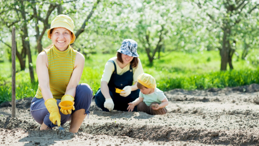Proljeće 2021. u vrtu uz Agroklub
