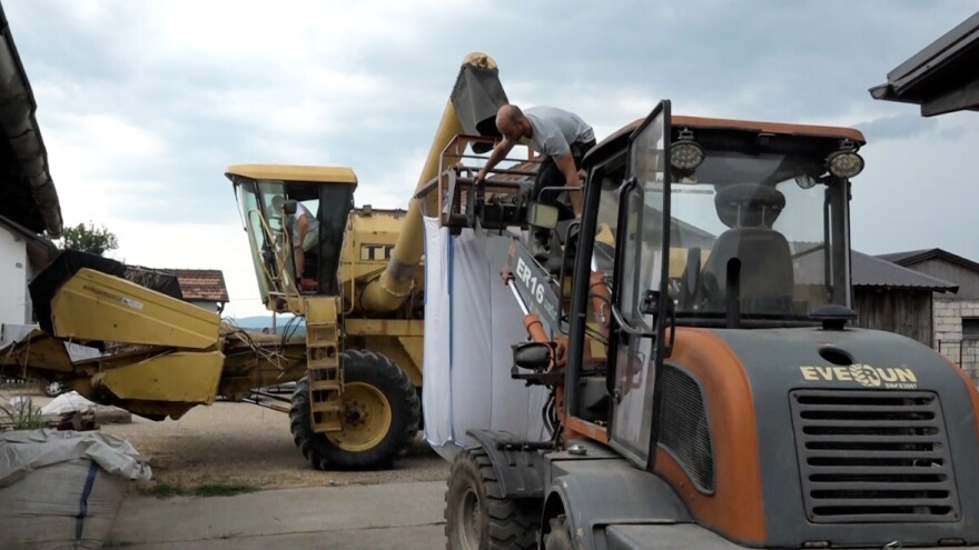 Prnjavorski farmeri završili žetvu: Ozbiljni proizvođači prosjek gledaju kroz pet godina