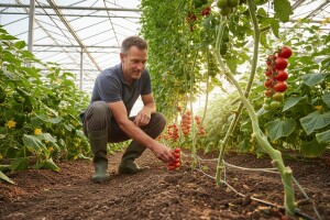 Jonkers - majstor eko proizvodnje povrća