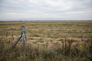 Još nije riješen problem poljoprivrednog zemljišta