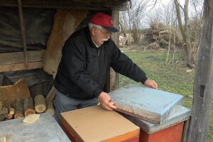 Josip Bazina: Zbog temperatura pčele ranije idu van, treba biti oprezan