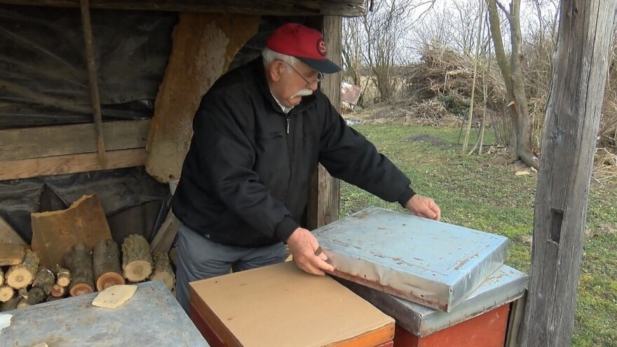 Josip Bazina: Zbog temperatura pčele ranije idu van, treba biti oprezan