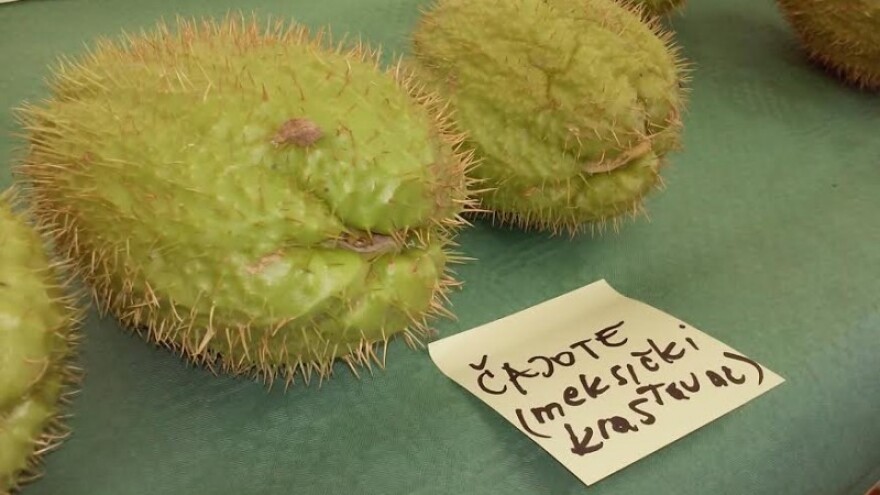 Egzotika uz zaboravljene slavonske sorte