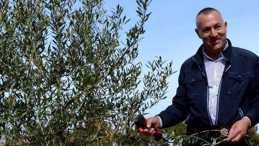 Maslinovo ulje Josip Kulaš prodaje i izbirljivim Istranima, sad je u fazi testiranja čaja od lišća masline