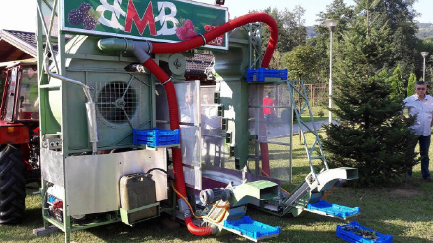 Josip Laštro osvojio broncu za berač maline!