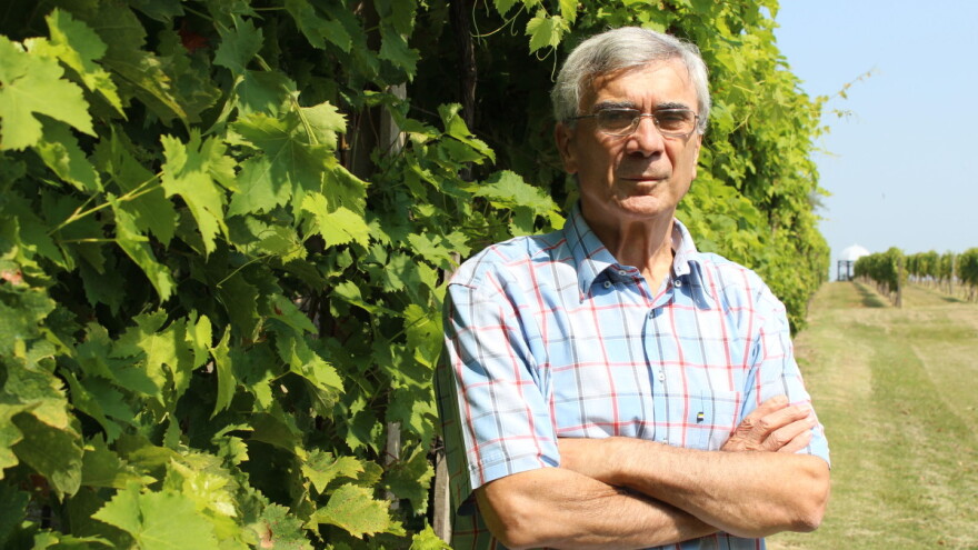 Velike vinarske zemlje su i velike nogometne zemlje!