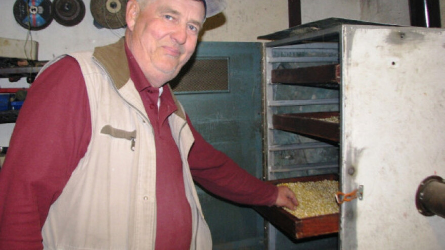 Siju kukuruz bijelčić i rade vrhunsko brašno