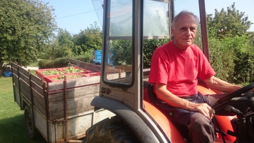 Obitelj Turk spojila je vino i seoski turizam: Vino je najisplativije kada se prodaje vlastitim gostima na kućnom pragu