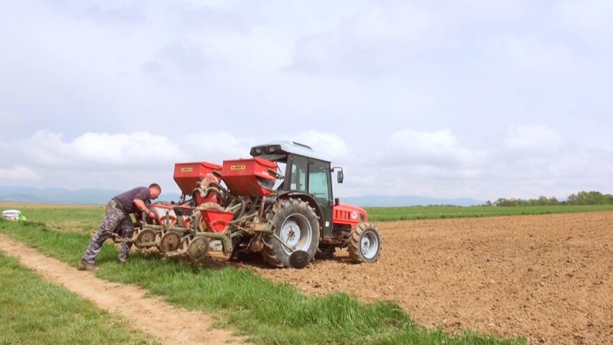 Josip Vodička: Sijemo kukuruz, a ne znamo hoće li uopće biti otkupljen