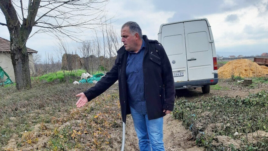 Studirao voćarstvo, a sada najveći proizvođač sadnica ruža na jugu Srbije