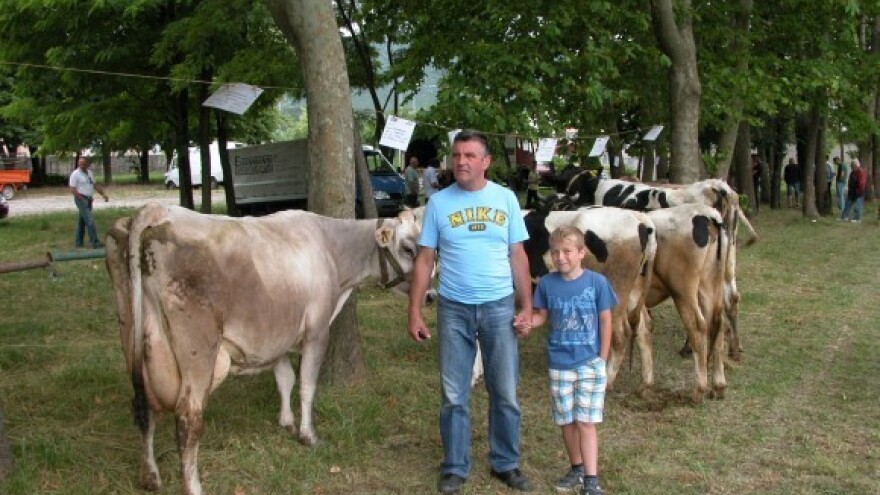 Tko je odgovoran za pojavu aflatoksina u mlijeku?