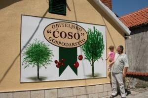 Obiteljsko gospodarstvo Ćoso