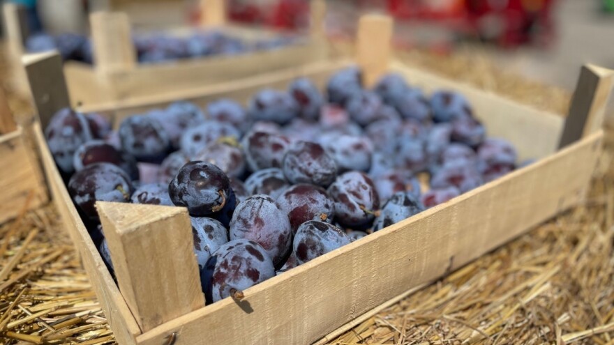 Vraćene i šljive sa granice zbog pesticida - šta sada?