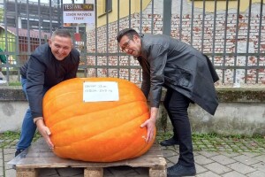 Silvio Hajduk pobijedio s tikvom od 248 kilograma