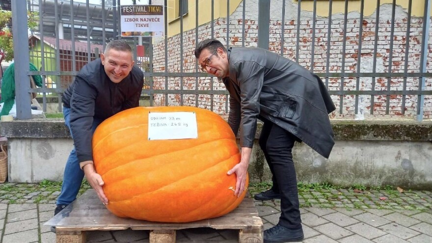 Silvio Hajduk pobijedio s tikvom od 248 kilograma