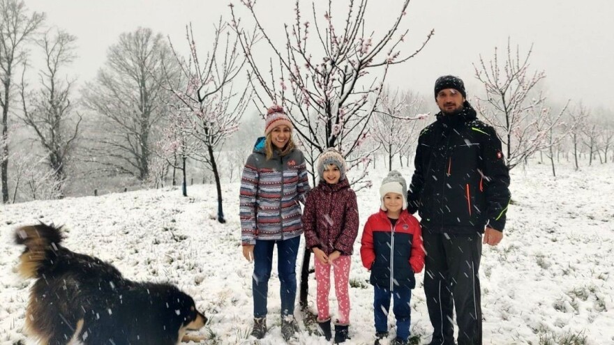 U Kupljenskom kod Vojnića snijeg prekrio 40 hektara voćnjaka obitelji Mikulić