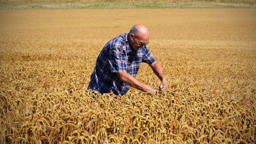 Nema zakonskog rešenja za dodelu akcija bivšim radnicima PKB-a?