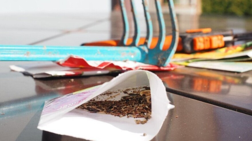 Evo kojim tehnikama tretirati seme - kako bi brže niklo