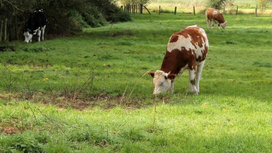 Iza nas najtoplija zima ikad zabilježena u Europi: Veljača za 3,9 °C toplija od prosjeka