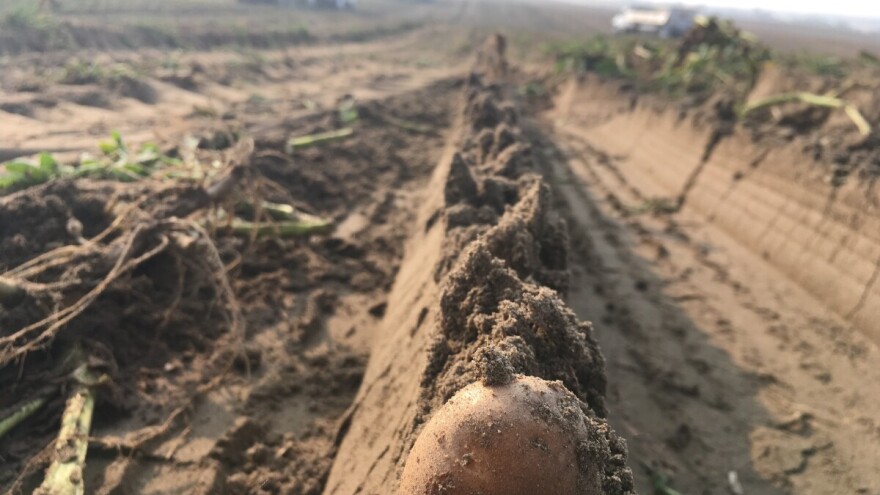 Objavljen Nacrt natječaja za provedbu podmjere 17.1.