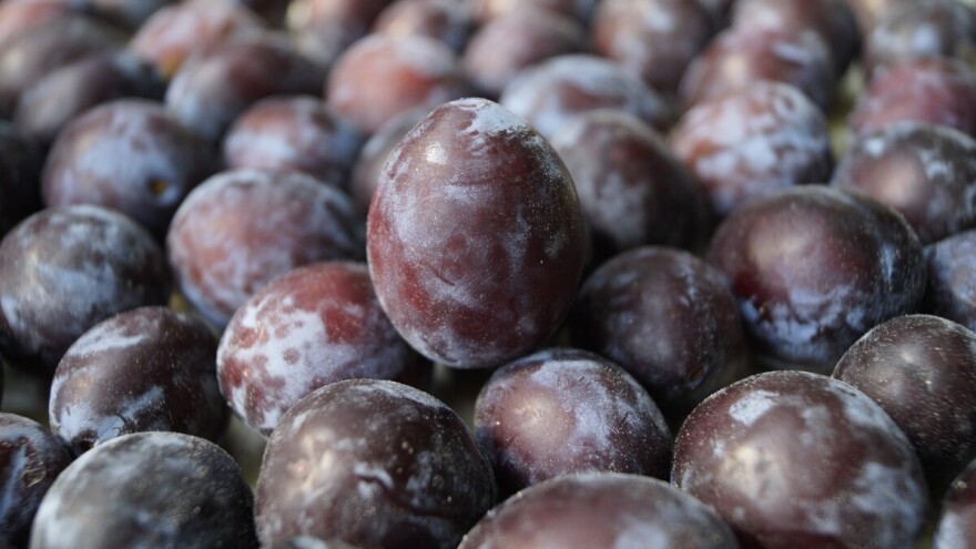 Za izvoz na rusko tržište sada potreban kapacitet hladnjača od 200 umesto 500 tona