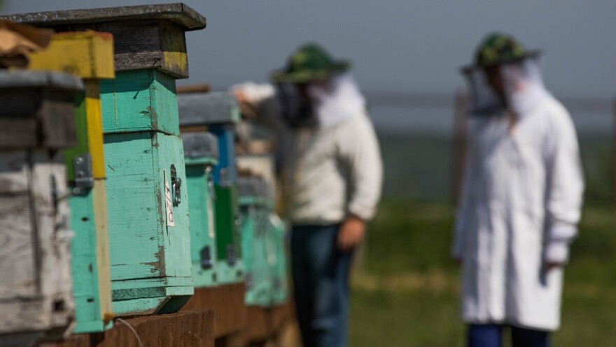 Dobru i adekvatnu brigu tijekom zime pčele će sigurno nagraditi