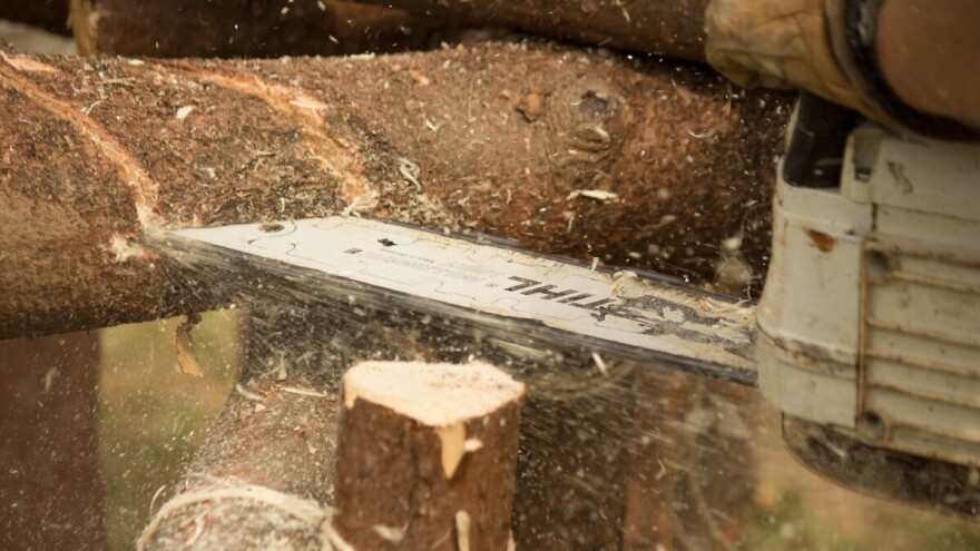 Hrvatske šume produžuju plaćanje drvnih proizvoda na 100 dana