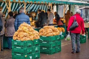 Utjecaj koronavirusa na svjetsku poljoprivrednu proizvodnju