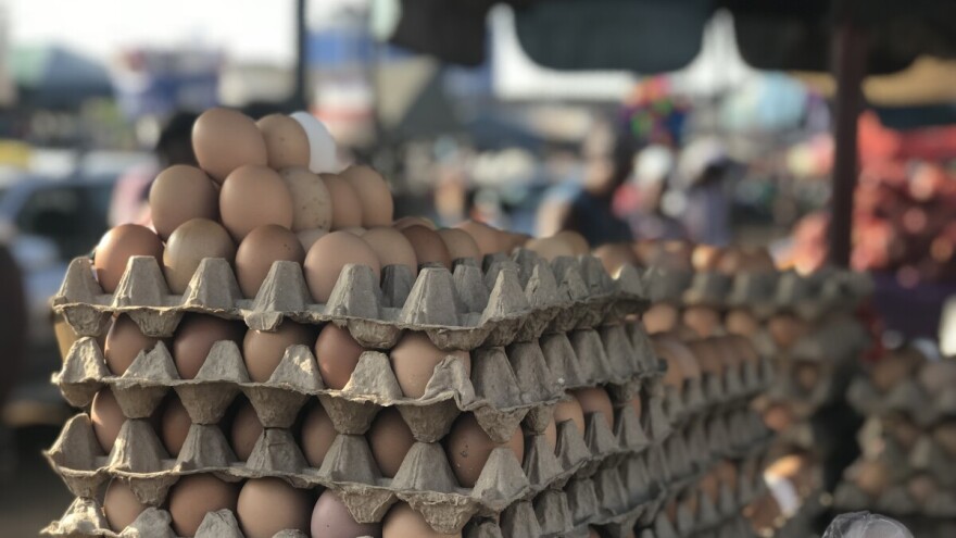 Proizvodnja jaja u svetu: Kina najveći proizvođač, a Holanđani ih najviše izvoze